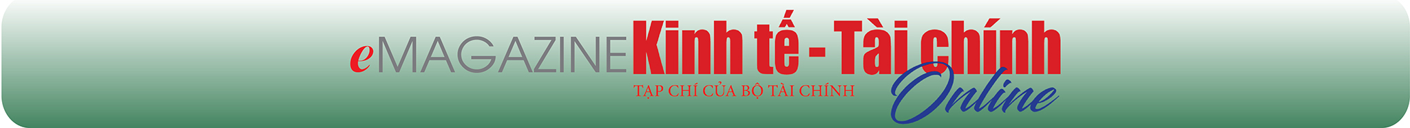 EMAGAZINE: Kinh tế Việt Nam đã tăng trưởng ấn tượng - Ảnh 9