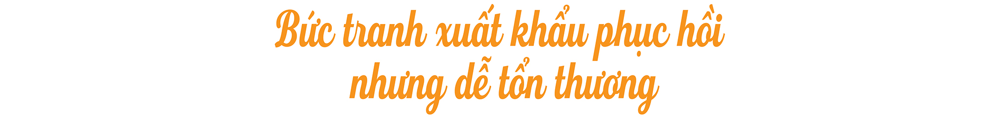 EMAGAZINE: Xuất khẩu thủy sản Việt Nam giữa “cơ hội vàng” và rủi ro vào thị trường Hoa Kỳ - Ảnh 2