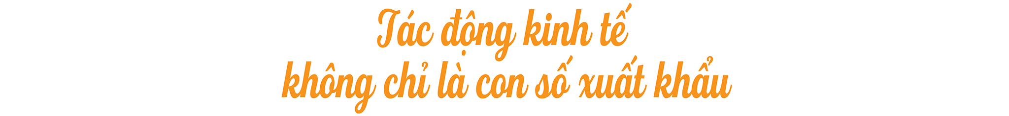 EMAGAZINE: Xuất khẩu thủy sản Việt Nam giữa “cơ hội vàng” và rủi ro vào thị trường Hoa Kỳ - Ảnh 5
