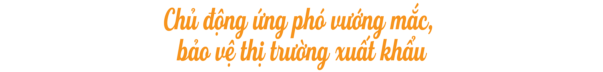 EMAGAZINE: Xuất khẩu thủy sản Việt Nam giữa “cơ hội vàng” và rủi ro vào thị trường Hoa Kỳ - Ảnh 7