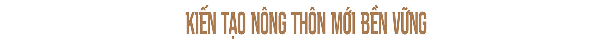 EMAGAZINE: Kết quả nổi bật từ chương trình xây dựng nông thôn mới ở Lạng Sơn - Ảnh 10