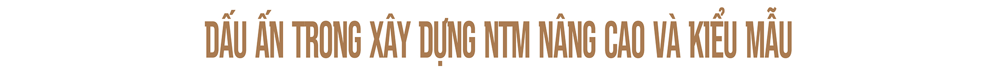 EMAGAZINE: Kết quả nổi bật từ chương trình xây dựng nông thôn mới ở Lạng Sơn - Ảnh 8