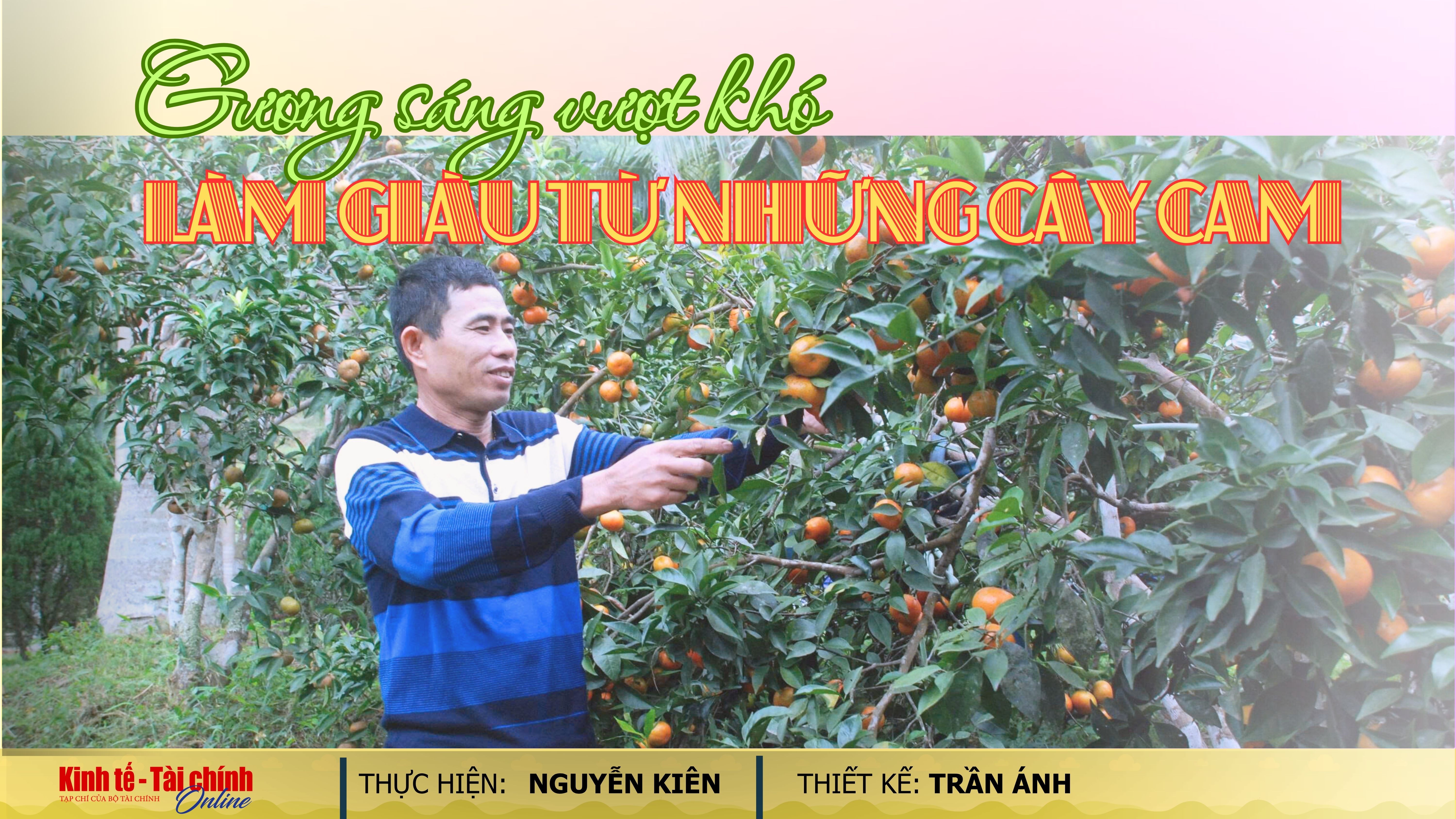 EMAGAZINE: Gương sáng vượt khó, làm giàu từ những cây cam - Ảnh 1