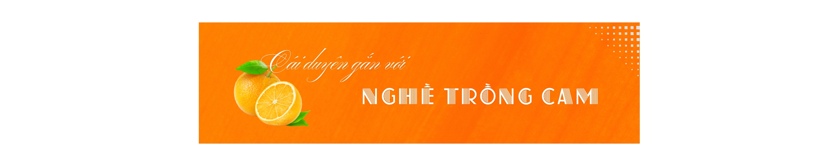 EMAGAZINE: Gương sáng vượt khó, làm giàu từ những cây cam - Ảnh 2