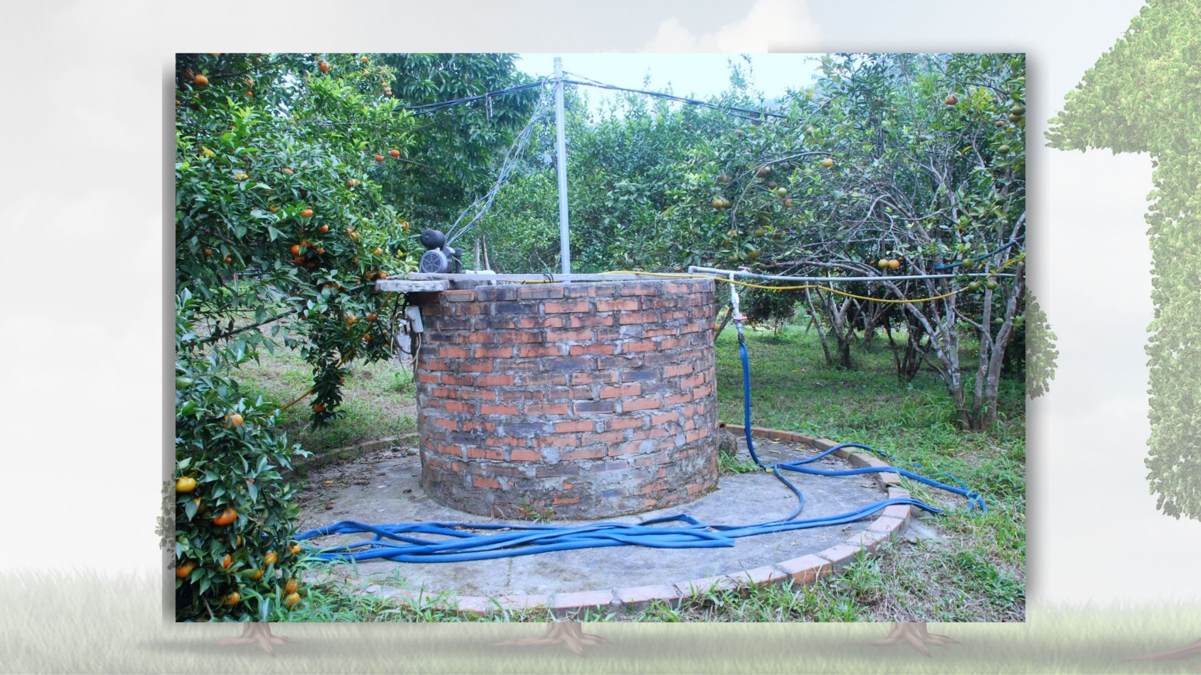 Giếng nước tưới ti&ecirc;u cho vườn cam