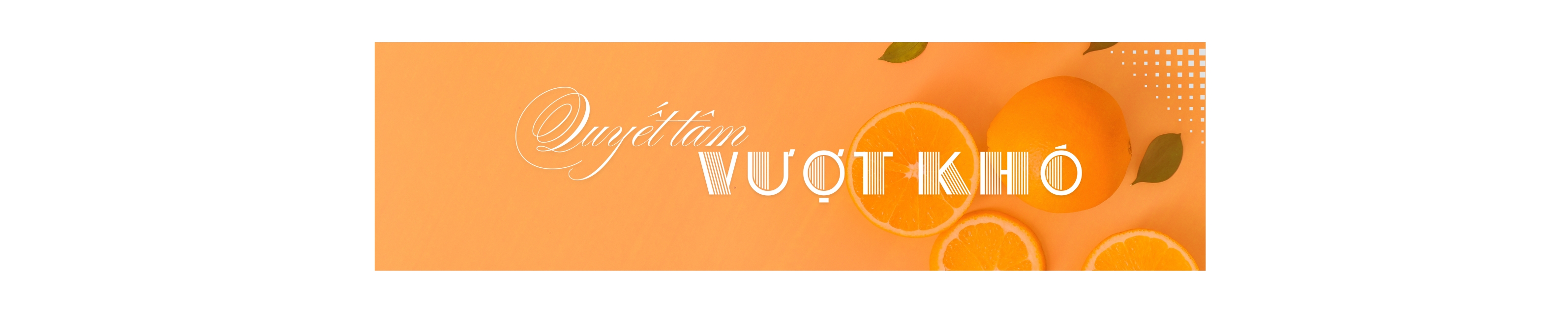 EMAGAZINE: Gương sáng vượt khó, làm giàu từ những cây cam - Ảnh 4