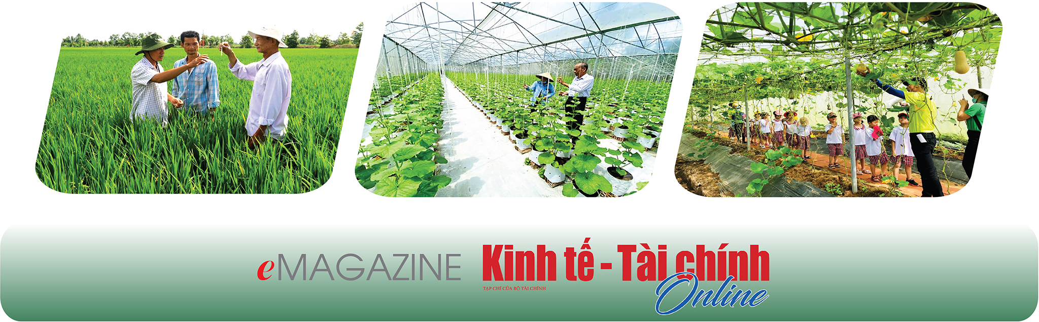 EMAGAZINE: CầnThơ: Chung sức vì mục tiêu giảm nghèo bền vững - Ảnh 12