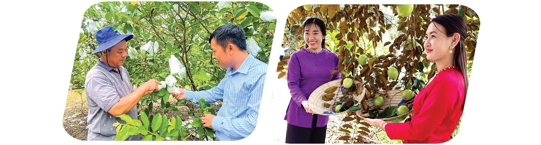 EMAGAZINE: CầnThơ: Chung sức vì mục tiêu giảm nghèo bền vững - Ảnh 9