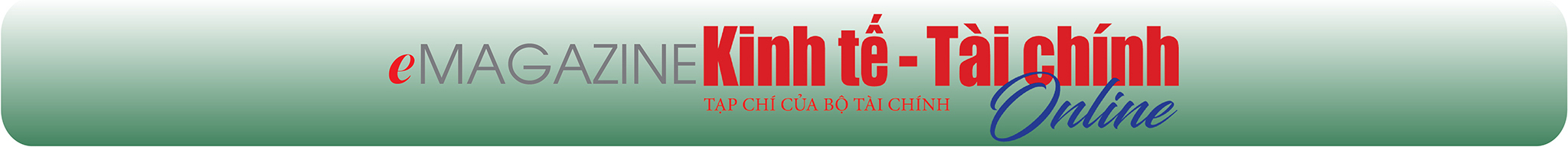 EMAGAZINE: Hành trình giải ngân vốn đầu tư công:  Biến thách thức thành động lực - Ảnh 9