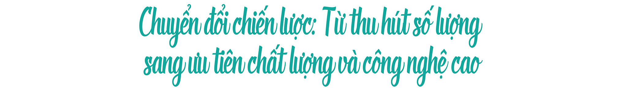 EMAGAZINE: FDI - "Đòn bẩy" đưa kinh tế Việt Nam cất cánh - Ảnh 5