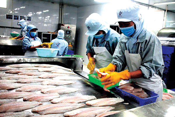 Chế biến thủy sản xuất khẩu tại một doanh nghiệp ở Khu công nghiệp Trà Nóc 2,  TP Cần Thơ. Ảnh: Khánh Trung