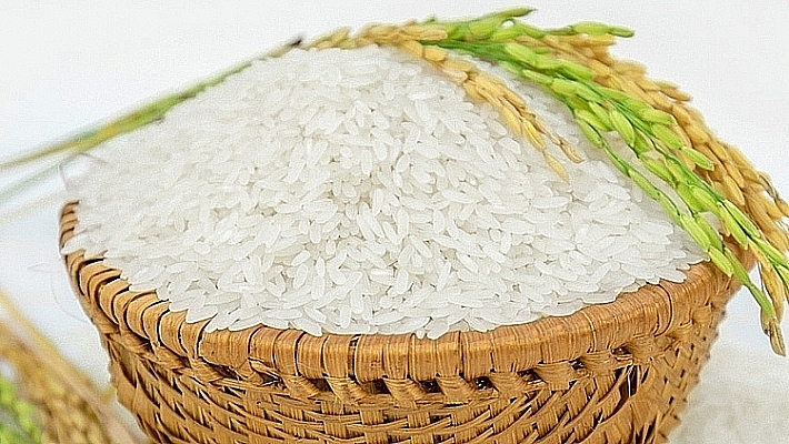 Hình ảnh nông nghiệp Wheat Hạt lúa mỳ L