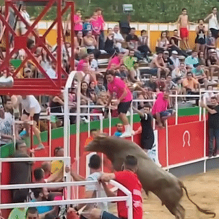[Video] Bò tót nhảy qua rào chắn khiến nhiều người bị thương ở Tây Ban Nha 