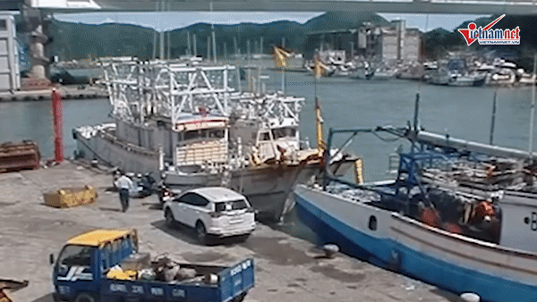 [Video] Cây cầu bất ngờ sập, đè bẹp nhiều tàu cá ở Đài Loan