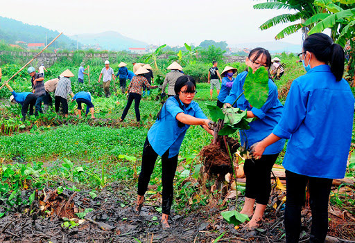 Bảo vệ môi trường: Chào mừng bạn đến với ảnh bảo vệ môi trường. Đó là những hình ảnh đầy ý nghĩa về sự quan trọng của việc bảo vệ môi trường, vì sự sống của mọi sinh vật trên trái đất. Hãy tham gia để góp phần vào việc bảo vệ môi trường, cùng chúng tôi thực hiện tương lai xanh.