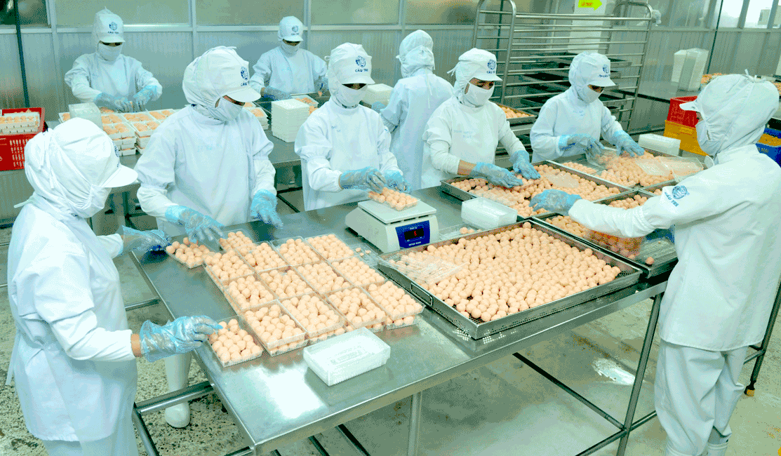 Chế biến thực phẩm tại doanh nghiệp Hàn Quốc ở TP. Hồ Chí Minh.