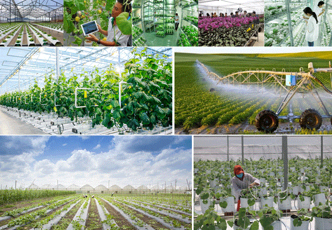 Doanh nghiệp nông nghiệp Thanh Hóa đẩy mạnh áp dụng khoa học kĩ thuật tiên tiến