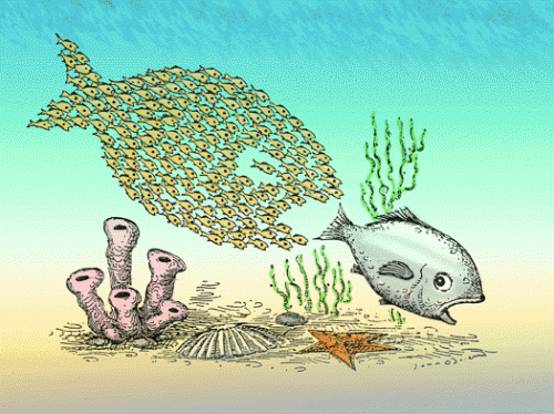 M&A: Khi Cá Bé Nuốt Cá Lớn - Tạp Chí Tài Chính