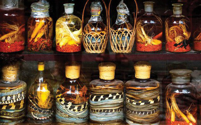 Rượu tắc kè chữa bệnh gì? Rượu tắc kè chữa bệnh gì?