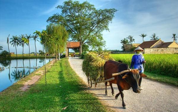 Xây dựng nông thôn mới ở một số nước châu Á và gợi ý chính sách cho Việt Nam  - Tạp chí Tài chính