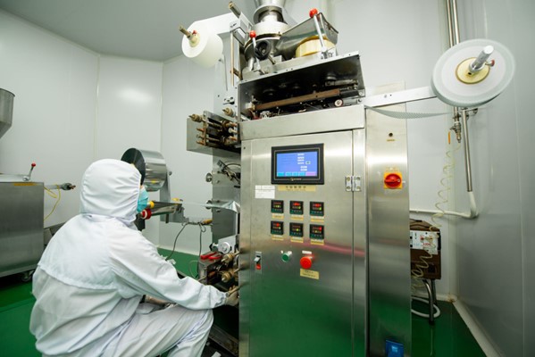 Chế biến dược liệu tại Công ty Nuôi trồng, sản xuất và chế biến dược liệu Đông Bắc (TP Cẩm Phả).