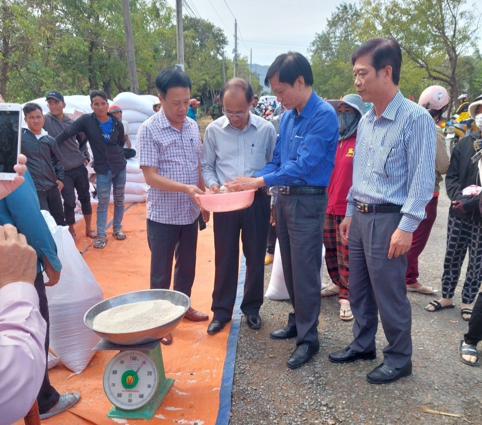 Ban Lãnh đạo Cục DTNN khu vực Nam Trung Bộ cùng cán bộ, công chức, các phòng nghiệp vụ kiểm tra công tác xuất gạo hỗ trợ Nhân dân dịp Tết Nguyên đán Quý Mão 2023. 