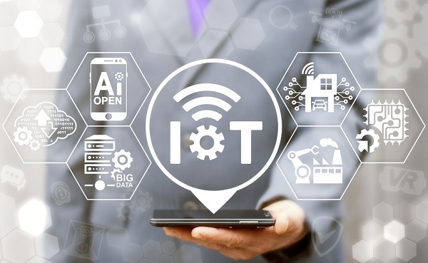 Cục Viễn thông và các Sở Thông tin và Truyền thông có trách nhiệm tổ chức triển khai hướng dẫn và quản lý các thiết bị đầu cuối IoT.