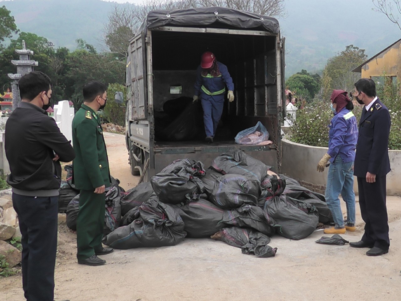 Lực lượng chức năng tỉnh Lào Cai phối hợp tiêu hủy 1.527,2 kg tai lợn không bảo đảm vệ sinh an toàn thực phẩm.