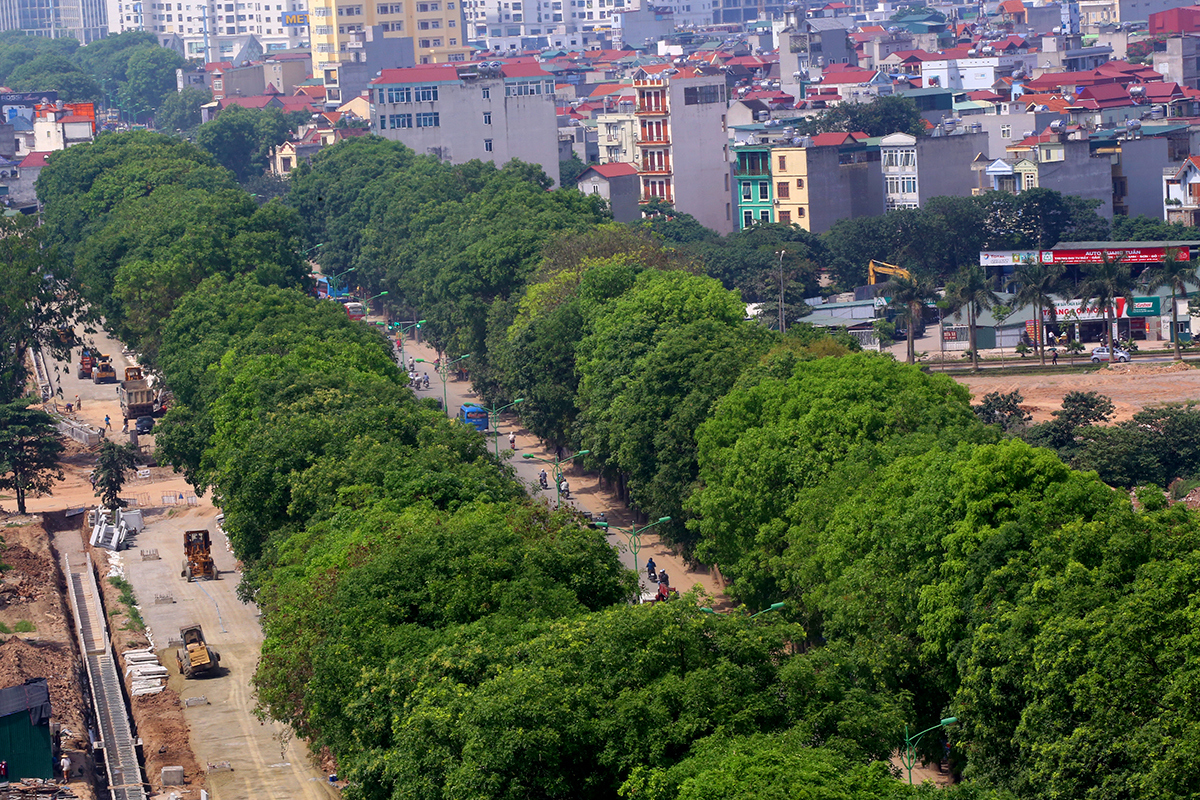 Hà Nội trồng mới 500.000 cây xanh đô thị trên địa bàn Thành phố, giai đoạn 2021 - 2025.