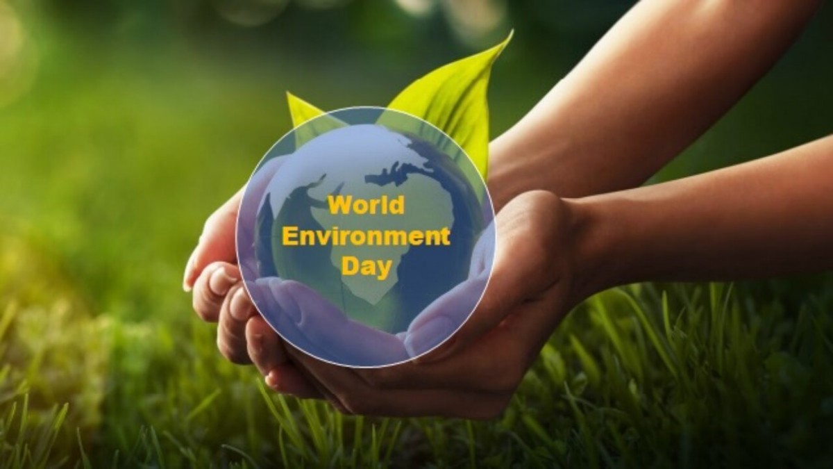 Ngày môi trường thế giới là ngày người dân trên khắp thế giới sẽ chung tay thực hiện các giải pháp để bảo vệ môi trường. 