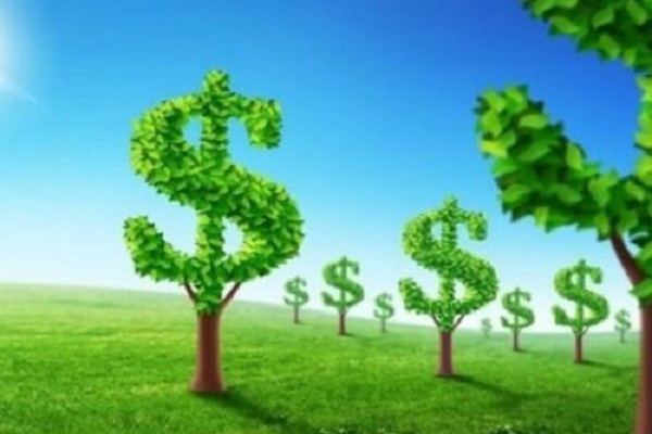Khung chính sách về tài chính xanh mở ra nhiều cơ hội cho ngành ngân hàng phát triển tín dụng xanh có lợi cho môi trường.