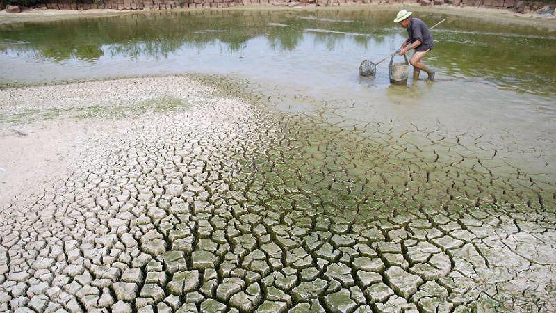 Tác động của biến đổi khí hậu như lũ lụt, hạn hán... đang hiện hữu ngày càng rõ rệt hơn, gây thiệt hại cho nền nông nghiệp toàn cầu. 