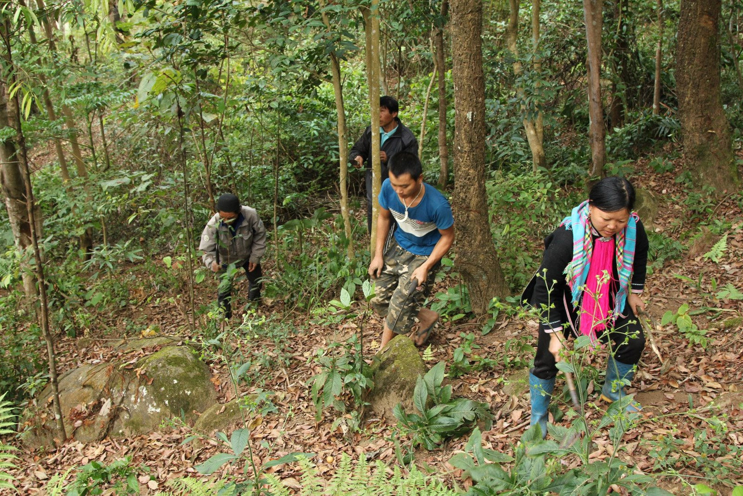 Việc giao nhận gạo hỗ trợ người dân huyện Mường Lát thực hiện công tác bảo vệ và phát triển rừng xong trước ngày 31/8/2023.