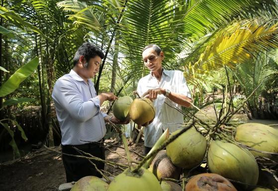 Các nhà sản xuất Việt Nam có thể bắt đầu xuất khẩu dừa sọ sang Mỹ ngay lập tức.
