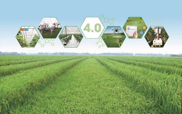 Thúc đẩy chuyển đổi số trong nông nghiệp hướng đến xây dựng nền nông nghiệp xanh, bền vững.