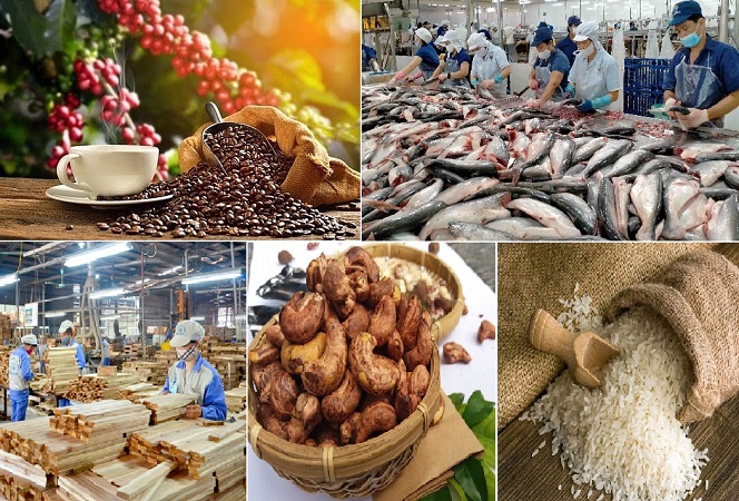 Một số mặt hàng nông sản đã vươn lên chiếm lĩnh được thị trường quan trọng.
