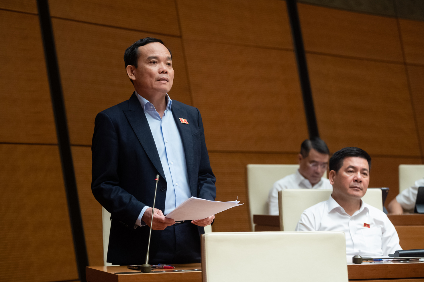 Phó Thủ tướng Chính phủ Trần Lưu Quang phát biểu tại phiên họp.