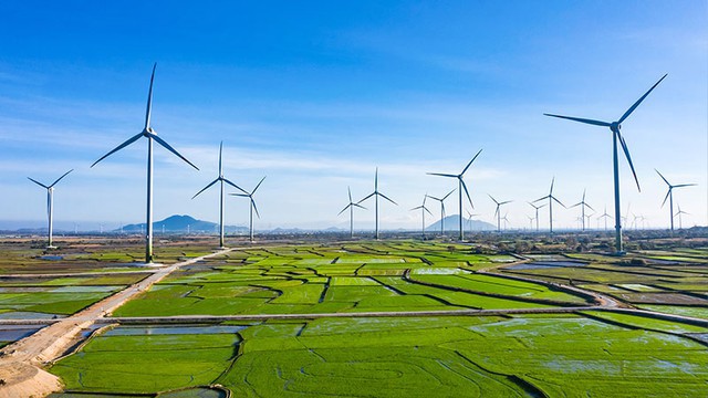 Việt Nam có rất nhiều tiềm năng trong lĩnh vực năng lượng tái tạo, đặc biệt là điện gió.