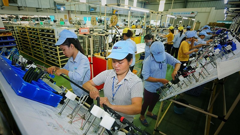 Hà Lan là nhà đầu tư lớn nhất tại Việt Nam với đa dạng lĩnh vực từ sản xuất công nghiệp, chế biến, chế tạo đến dịch vụ tư vấn thiết kế, logistics, thương mại. Ảnh minh họa.