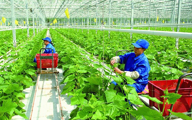 Tỉnh Nghệ An sẽ chuyển đổi mô hình tăng trưởng theo hướng xanh hóa các ngành kinh tế.