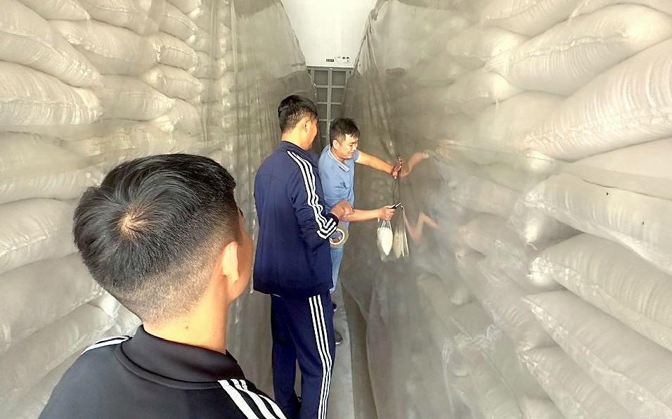Đoàn kiểm tra Cục DTNN khu vực Đông Bắc lấy mẫu gạo tại kho của Chi cục DTNN Thủy Nguyên.