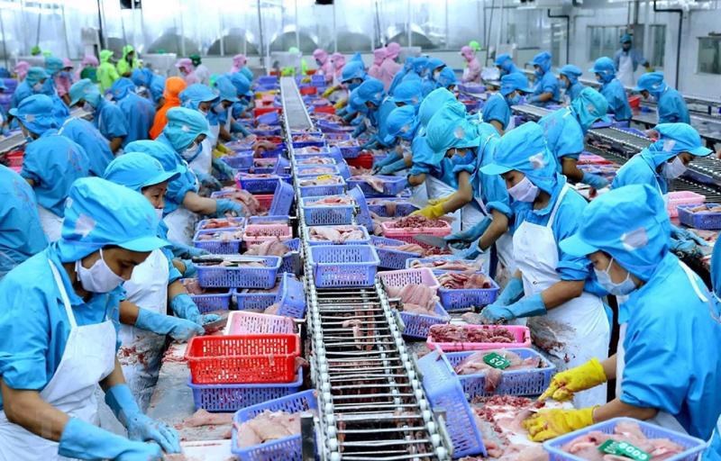 Ngành Thủy sản Việt Nam đã tận dụng tốt được điều kiện thuận lợi để đẩy mạnh sản xuất và xuất khẩu