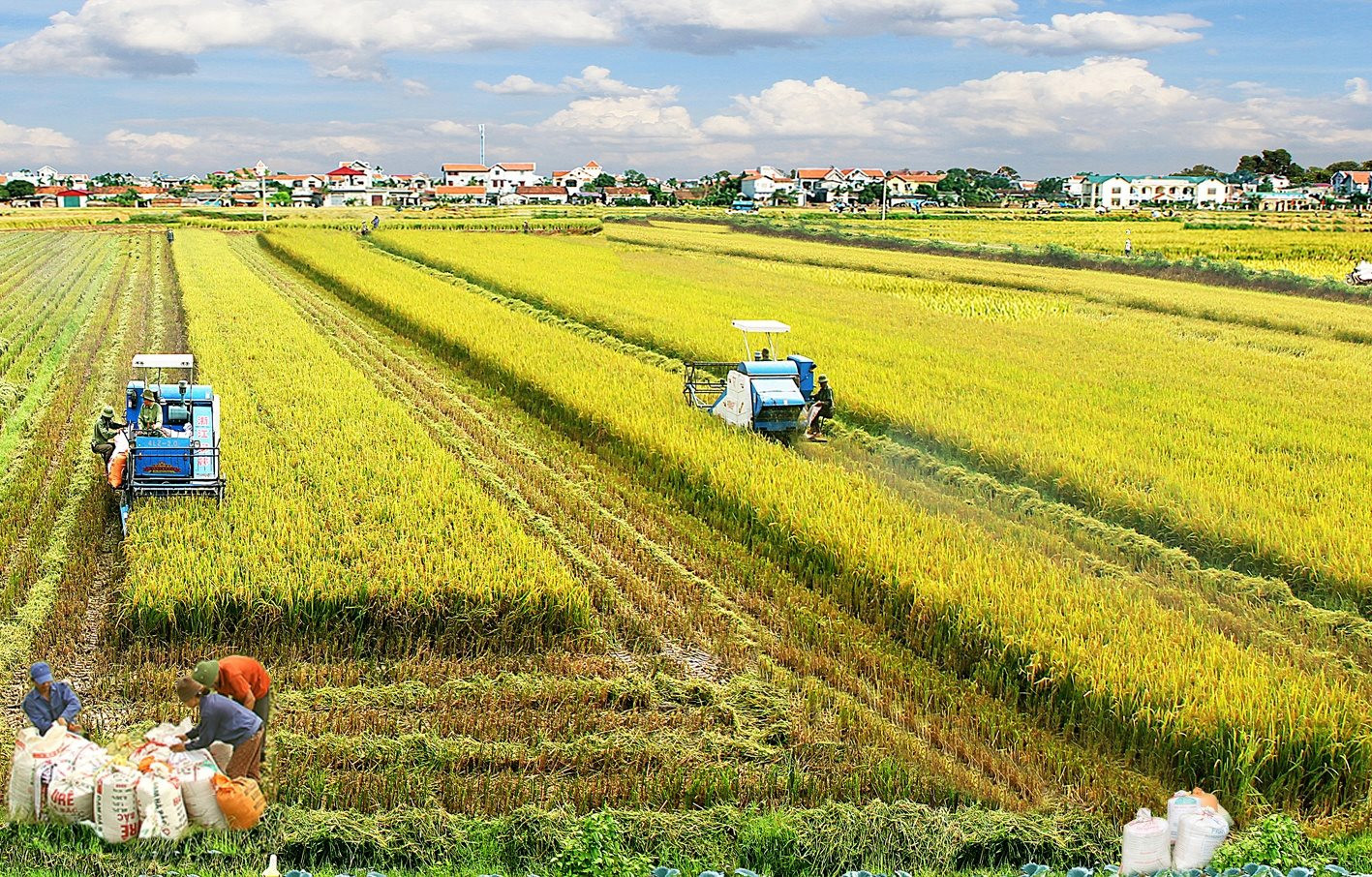 Năng lực về tài chính là một trong các vấn đề lớn của nông hộ trong quá trình phát triển sản xuất nông nghiệp.