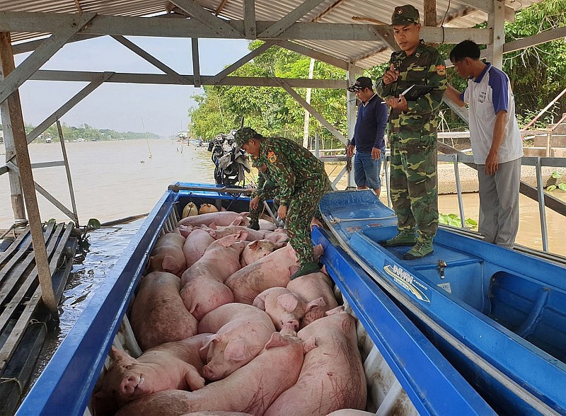  Lực lượng chức năng kịp thời phát hiện và xử lý nghiêm các trường hợp buôn bán, vận chuyển trái phép động vật, sản phẩm động vật qua biên giới vào Việt Nam.