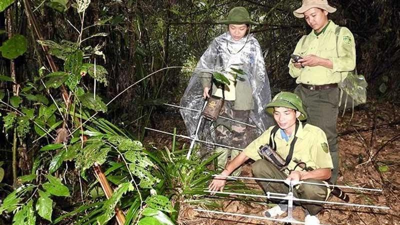 Kiểm lâm Khu bảo tồn thiên nhiên Xuân Liên (Thanh Hóa) ứng dụng công nghệ số để quản lý, bảo vệ rừng.