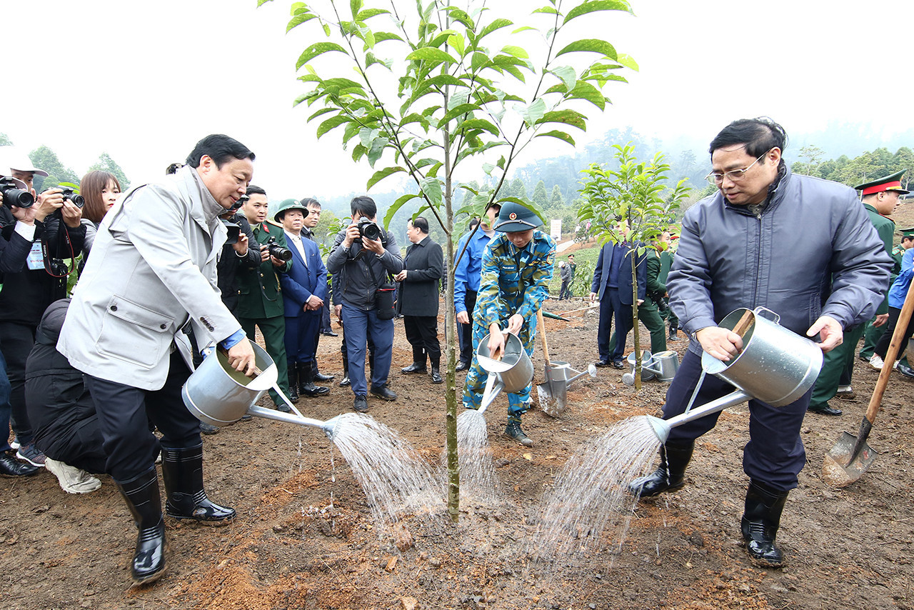 Thủ tướng Chính phủ yêu cầu tổ chức “Tết trồng cây đời đời nhớ ơn Bác Hồ” gắn với tăng cường công tác quản lý, bảo vệ, phát triển rừng.