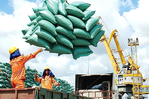 Năm 2023, Việt Nam xuất khẩu trên 8,1 triệu tấn gạo, trị giá gần 4,7 tỷ USD, tăng 14,4% về lượng và 35,3% về giá trị so với cùng kỳ năm 2022.
