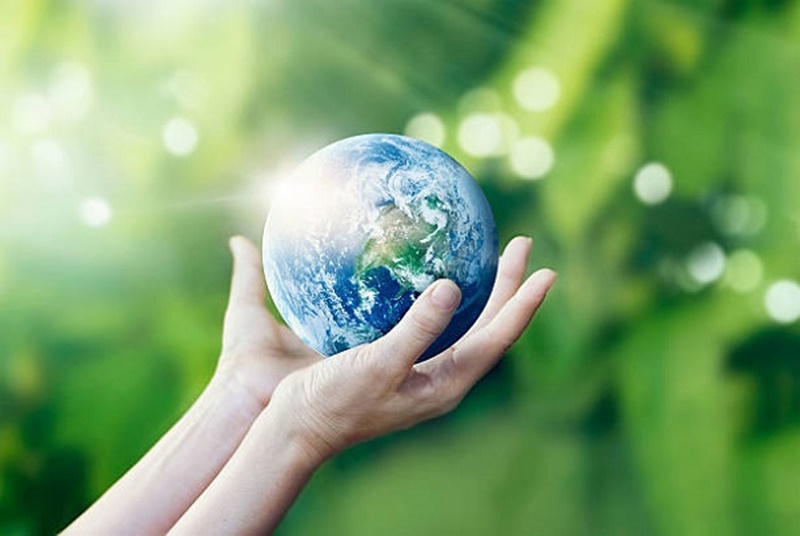 Chiến dịch Giờ Trái đất năm 2024 được Tổ chức Quốc tế về Bảo tồn thiên nhiên phát động với chủ đề “Giảm dấu chân Carbon – Hướng tới Net Zero”.