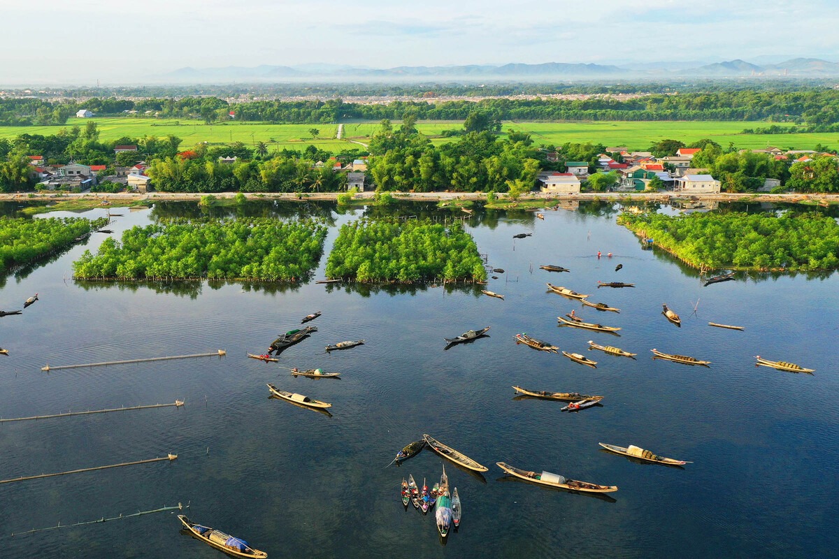 Việt Nam đứng thứ 14 về mức độ đa dạng sinh học trên thế giới. 