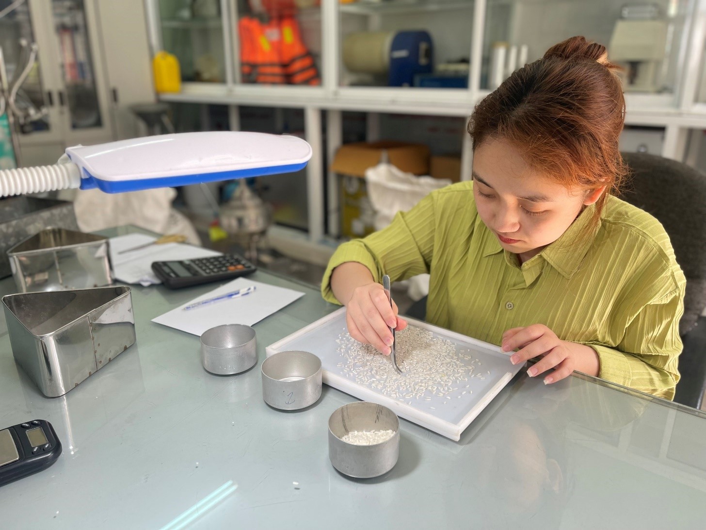 Cán bộ kỹ thuật viên phân tích các chỉ số chất lượng gạo lưu kho tại phòng kiểm nghiệm Cục DTNN khu vực Đà Nẵng.